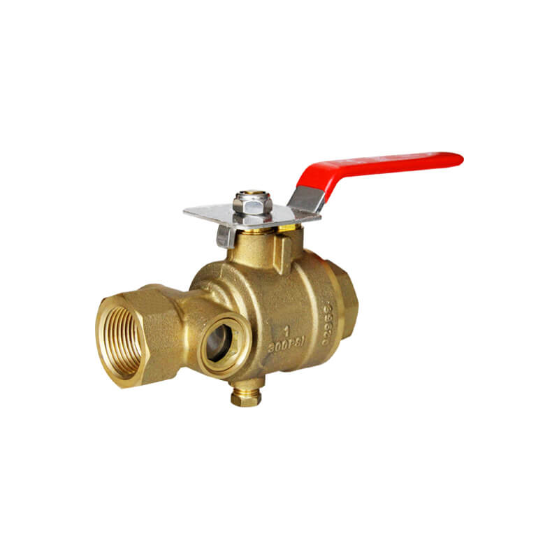 Test and drain valve
